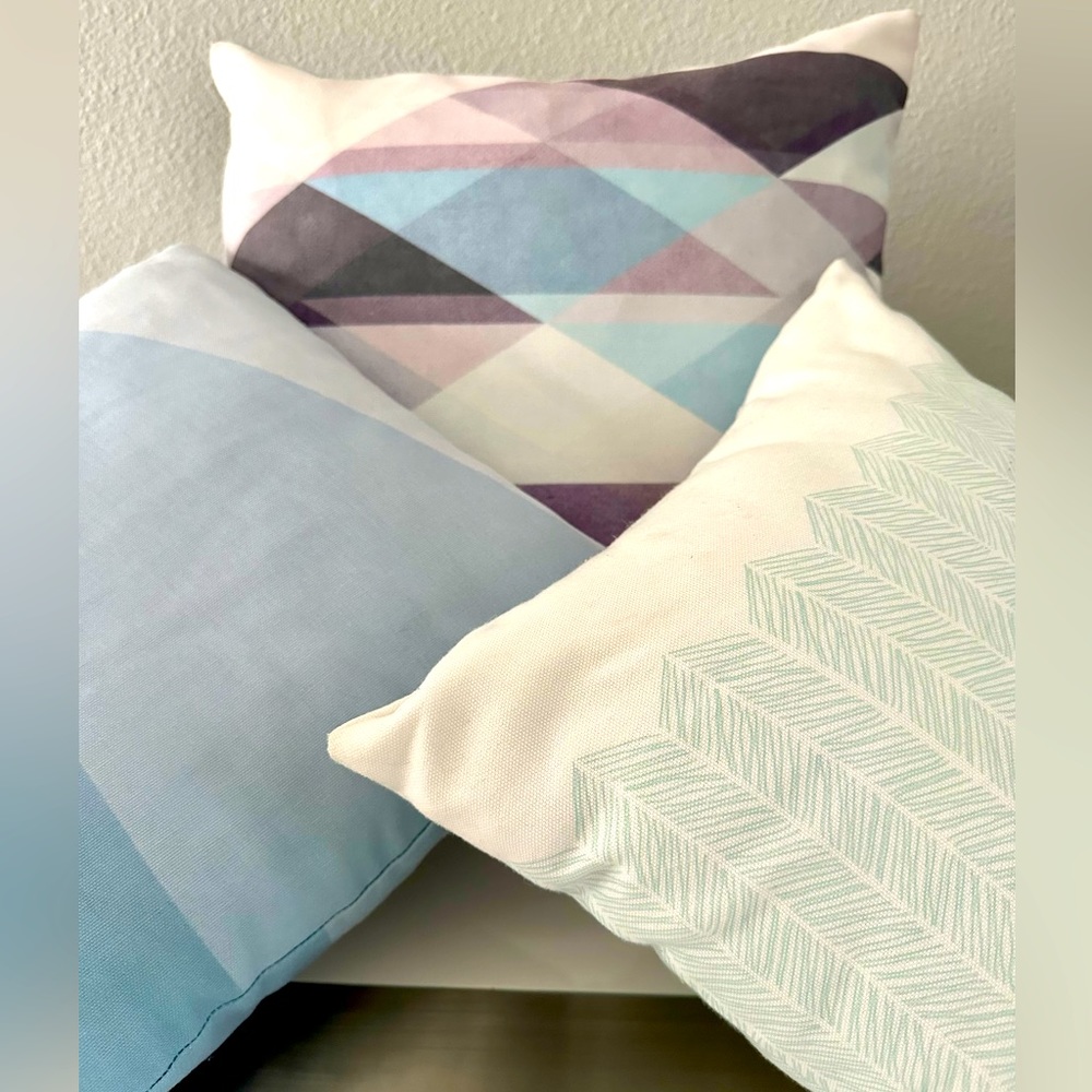 Society 6: accent pillow set